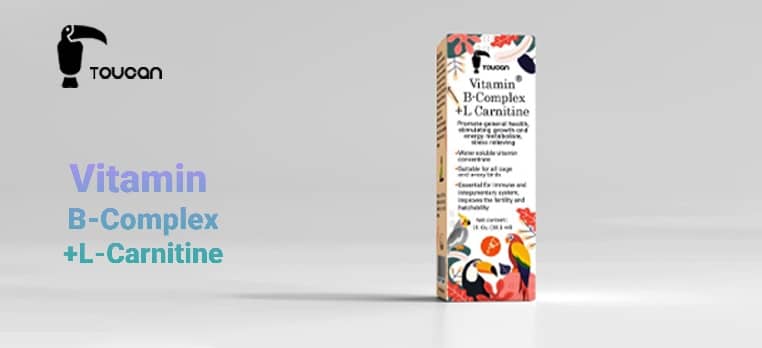 Vitamin B-Complex +L Carnitine
